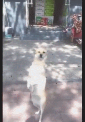 查看回复(61) 2021-05-26 18:48:47 133 查看回复(3) naivehan 2021