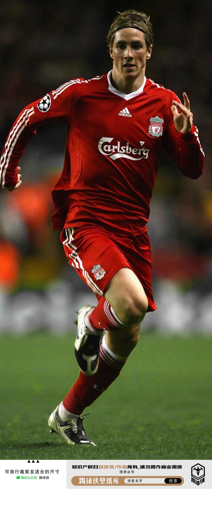 侠世壁纸西班牙托雷斯壁纸第二期