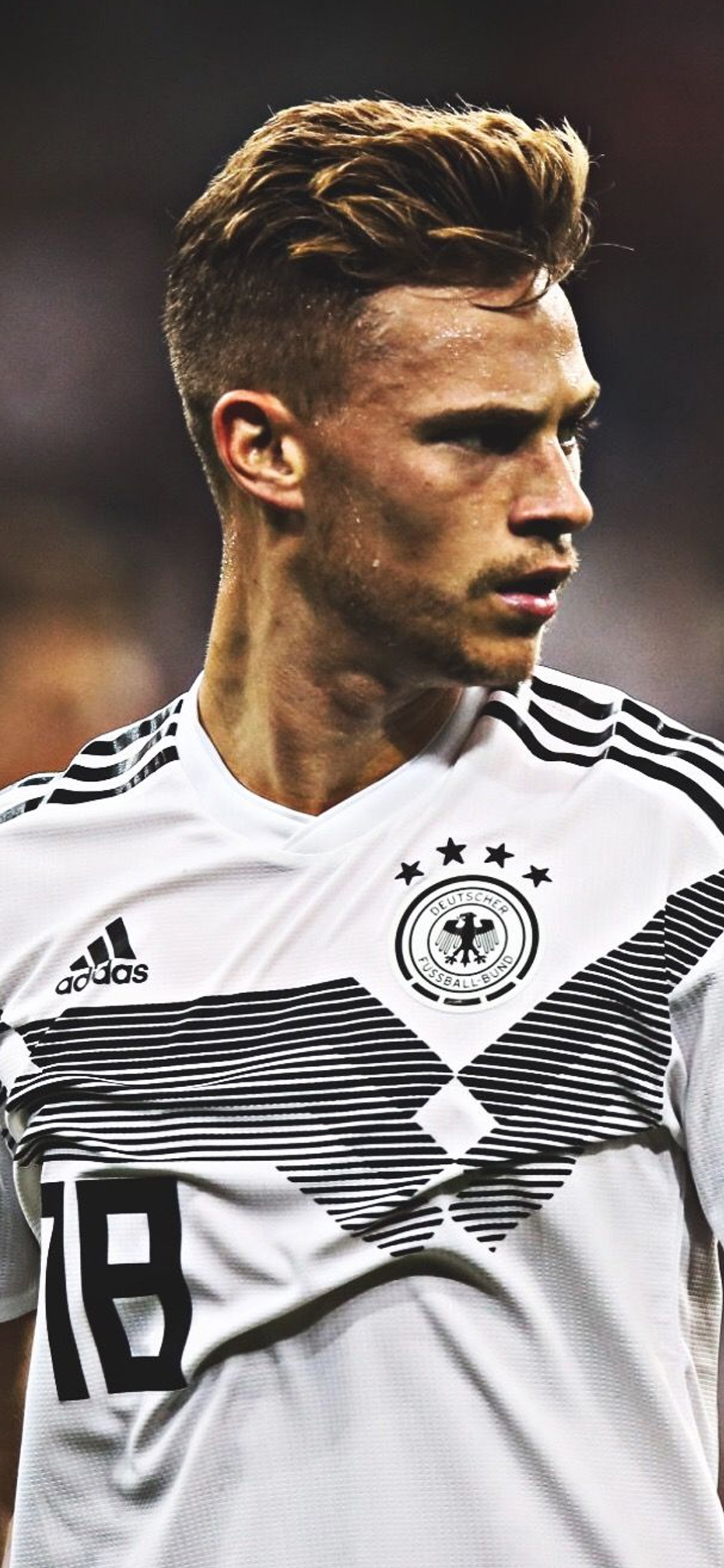 侠世壁纸德甲拜仁基米希第一期