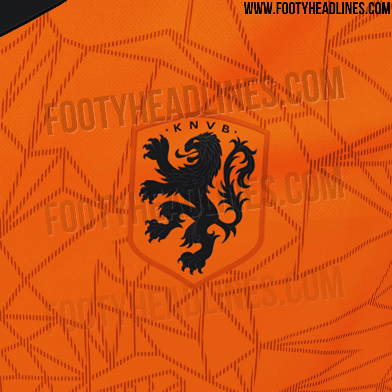 雄狮绽放荷兰国家队2020年欧洲杯主场球衣曝光