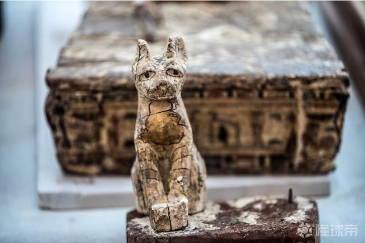 活久见埃及发现两千年前动物木乃伊幼狮木乃伊属世界首次