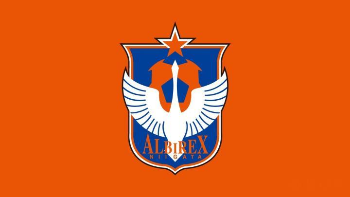 2020赛季j联赛俱乐部介绍——新泻天鹅