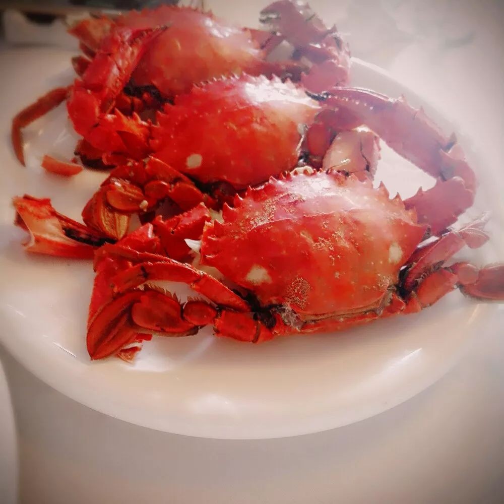 图/网络锈斑蟳,也叫红花蟹,生长于中国东南沿海一带,色彩艳丽,贝壳上