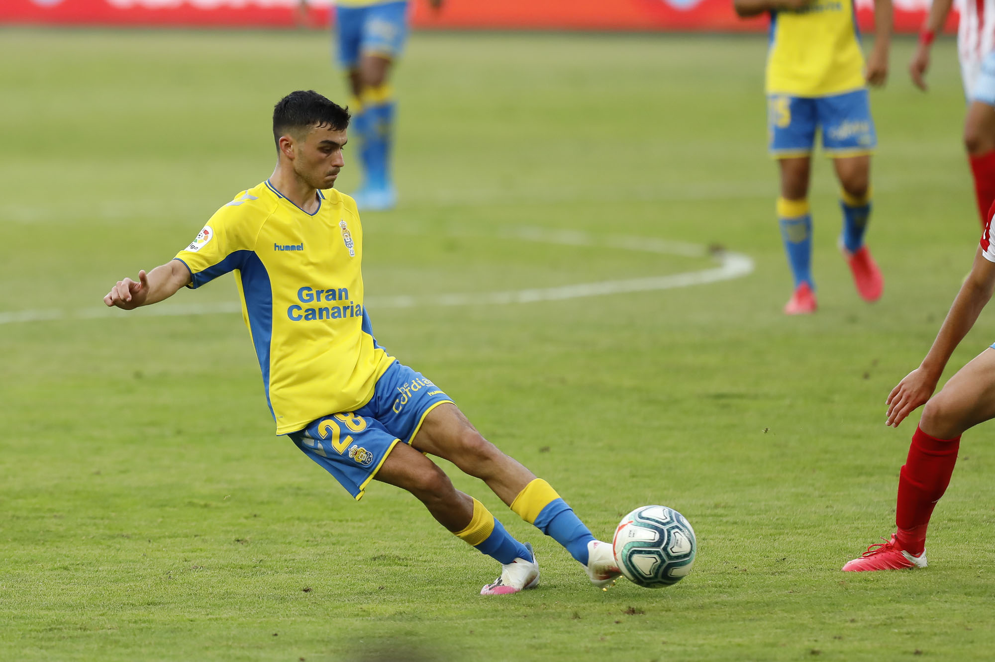 佩德里胸怀大志的小岛男孩儿