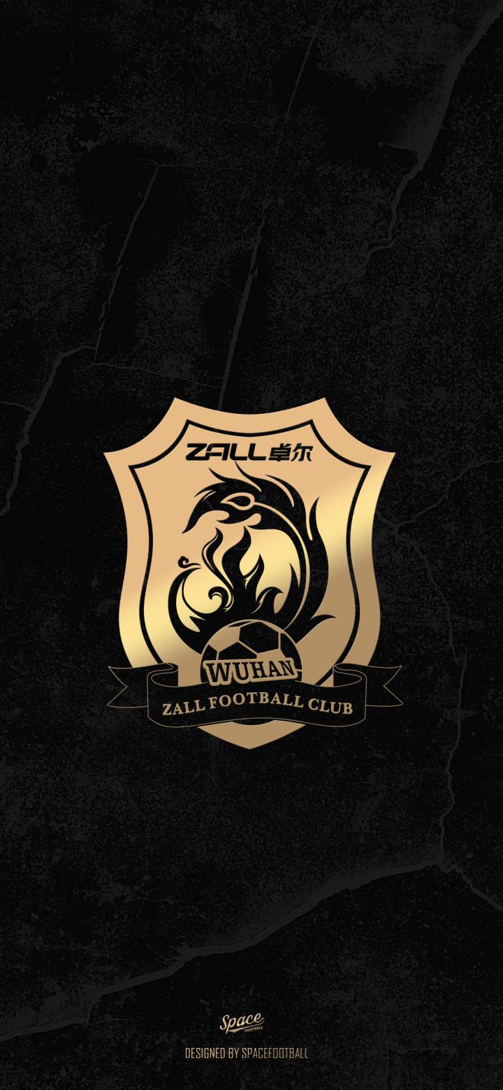 spacefootball死忠饭黑金队徽中超完整版