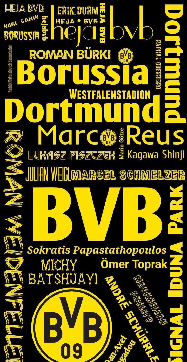 多特---壁纸|多特蒙德|懂球帝