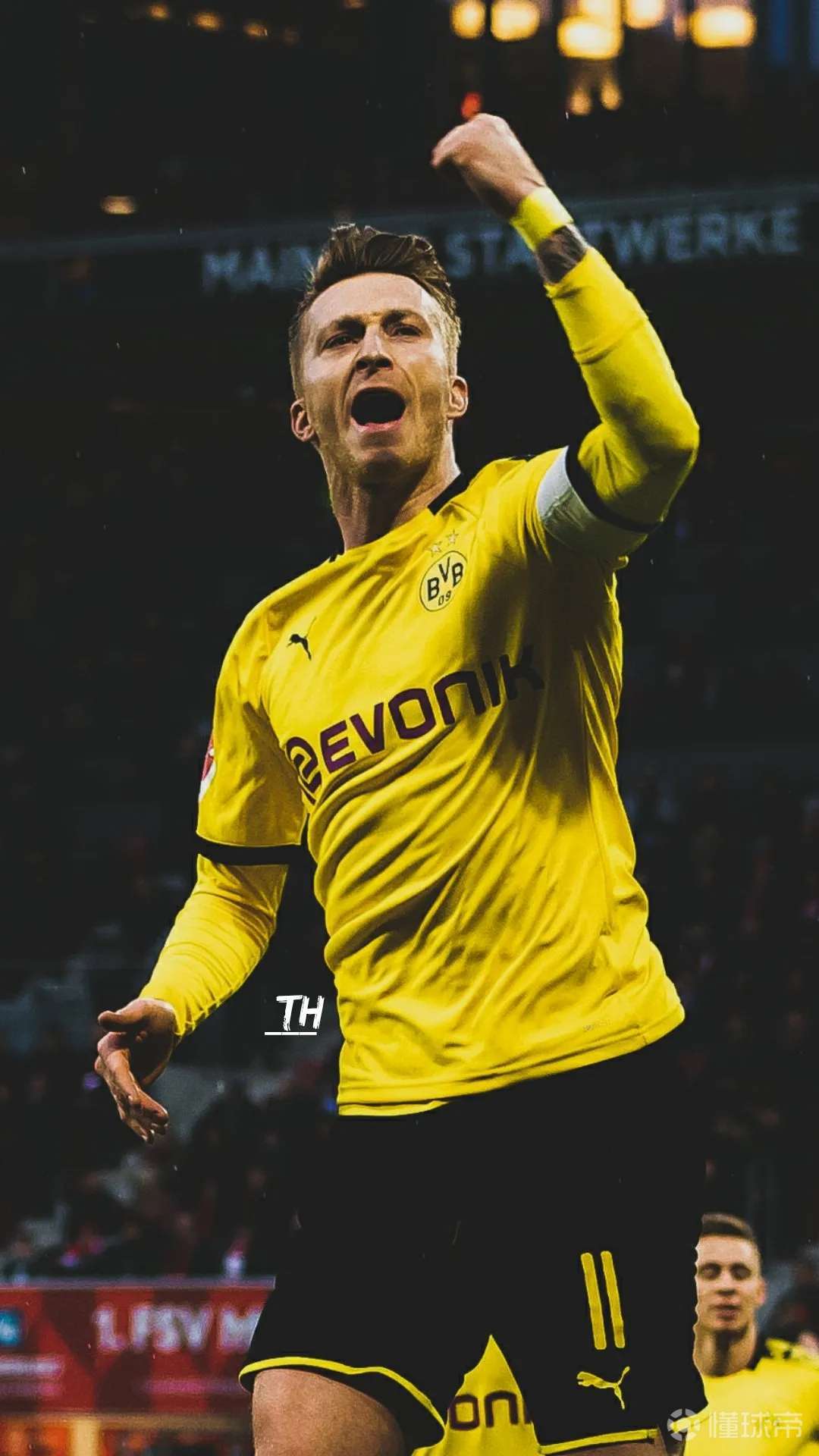 球星颜值小火箭罗伊斯