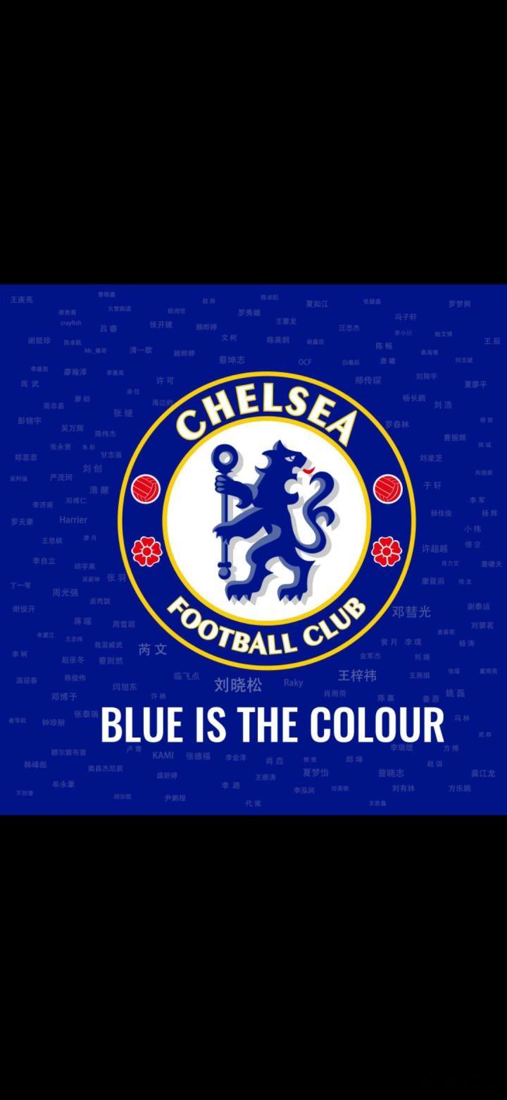 身着蓝衣铁血魂 此生无悔入狮门  一日为蓝,终身为蓝 成都切尔西球迷