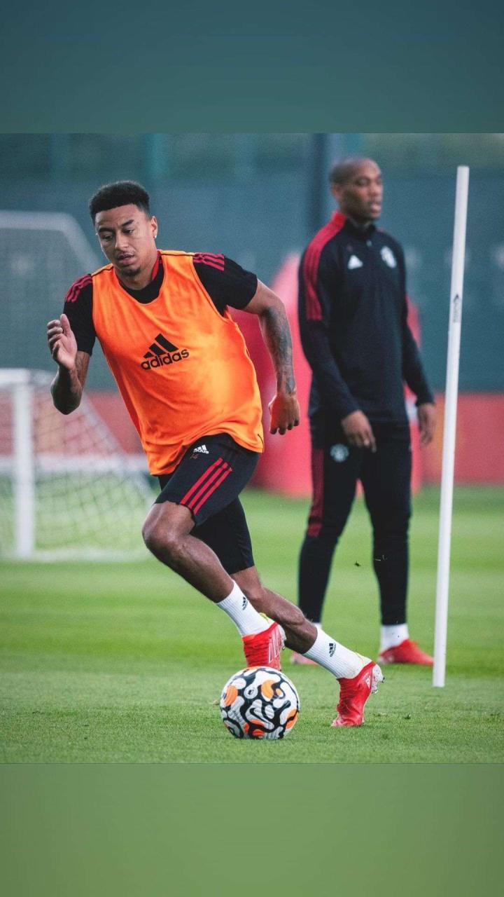 林加德收拾心情,重新出发!