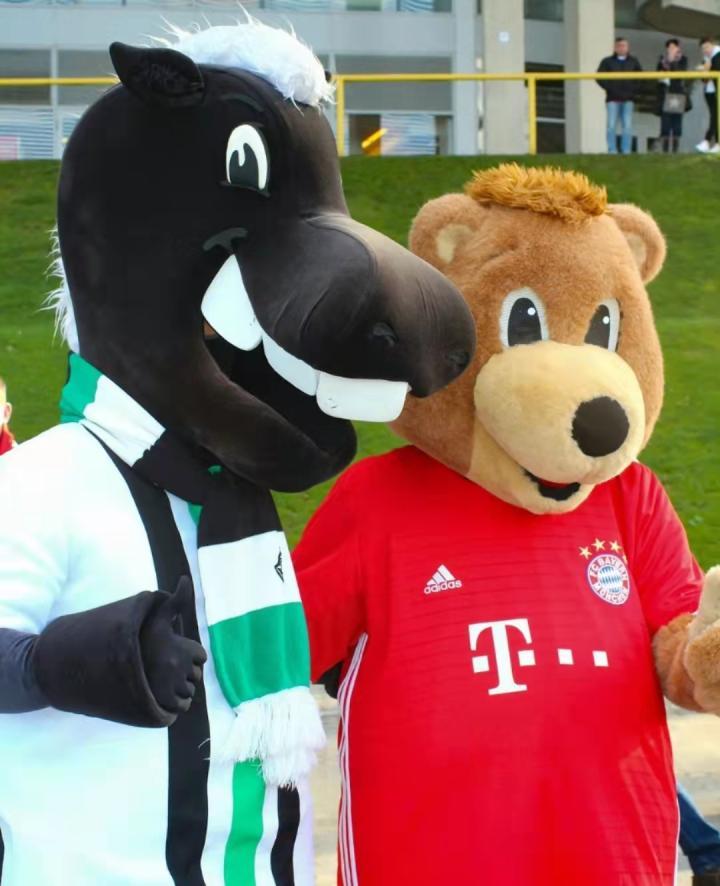 图说i 拜仁"伯尼熊"近期动态,仁迷猜猜最后一.