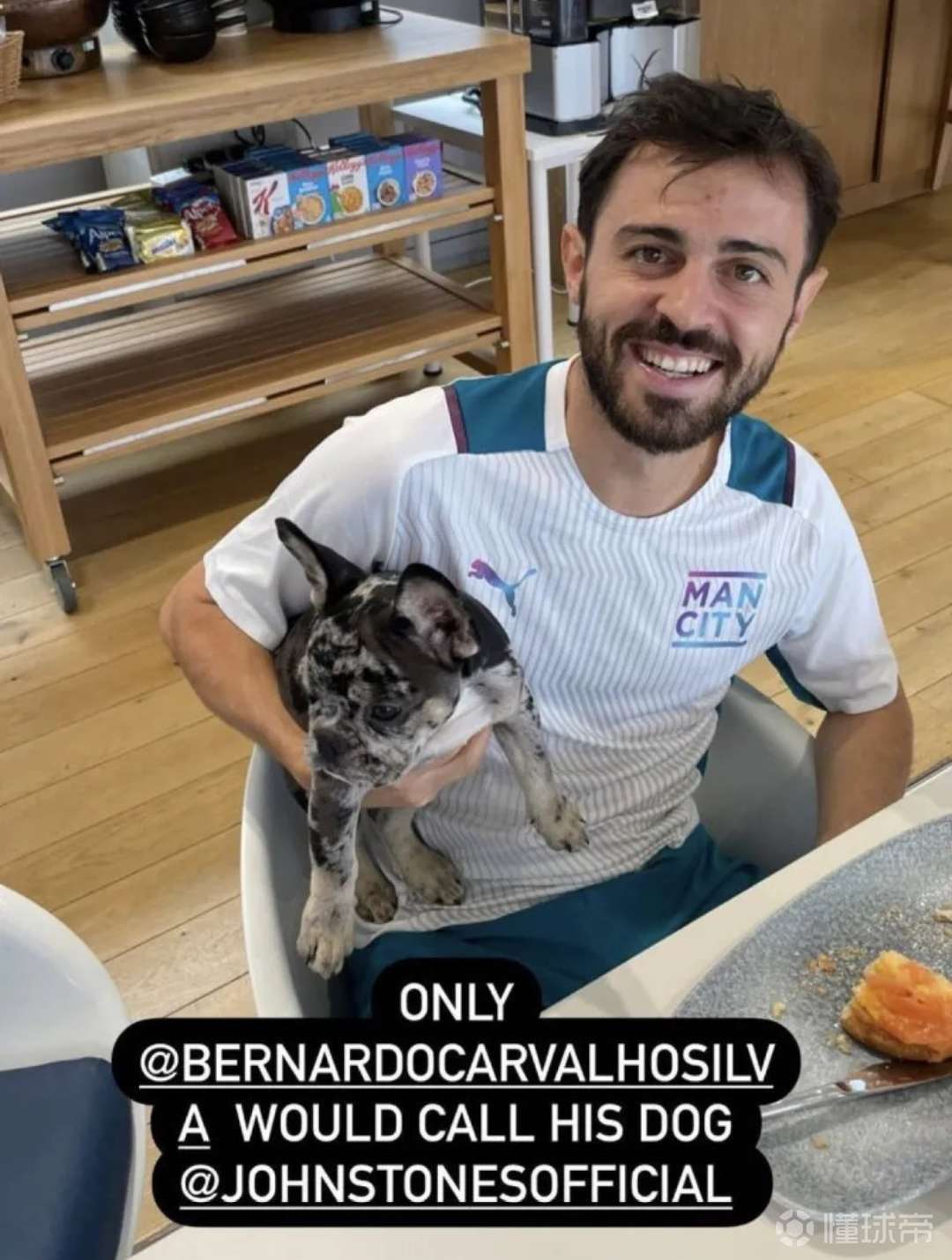 b席的小狗狗它的名字居然叫做约翰斯通斯