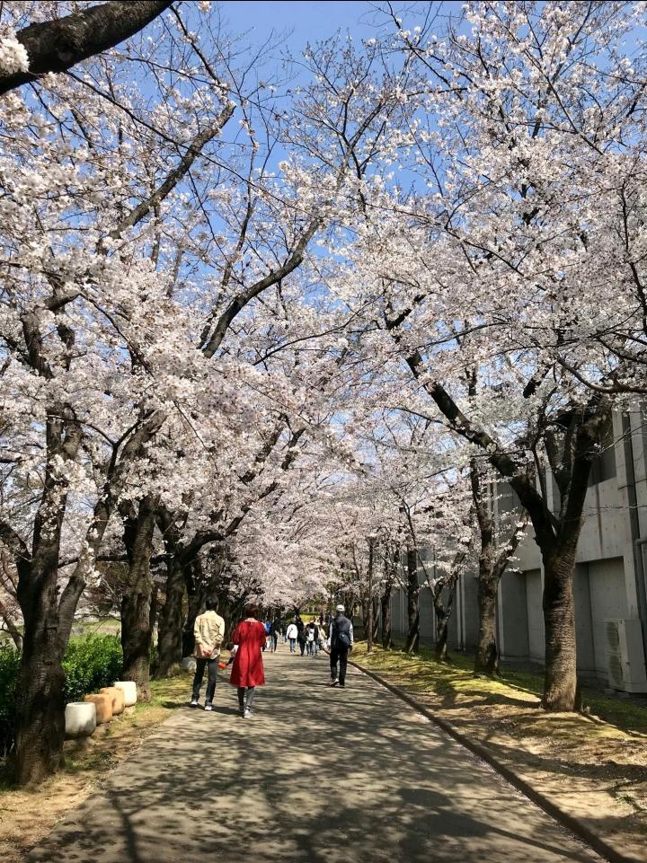 J2联赛球队山形山神主场山梨中央银行体育场，球场...