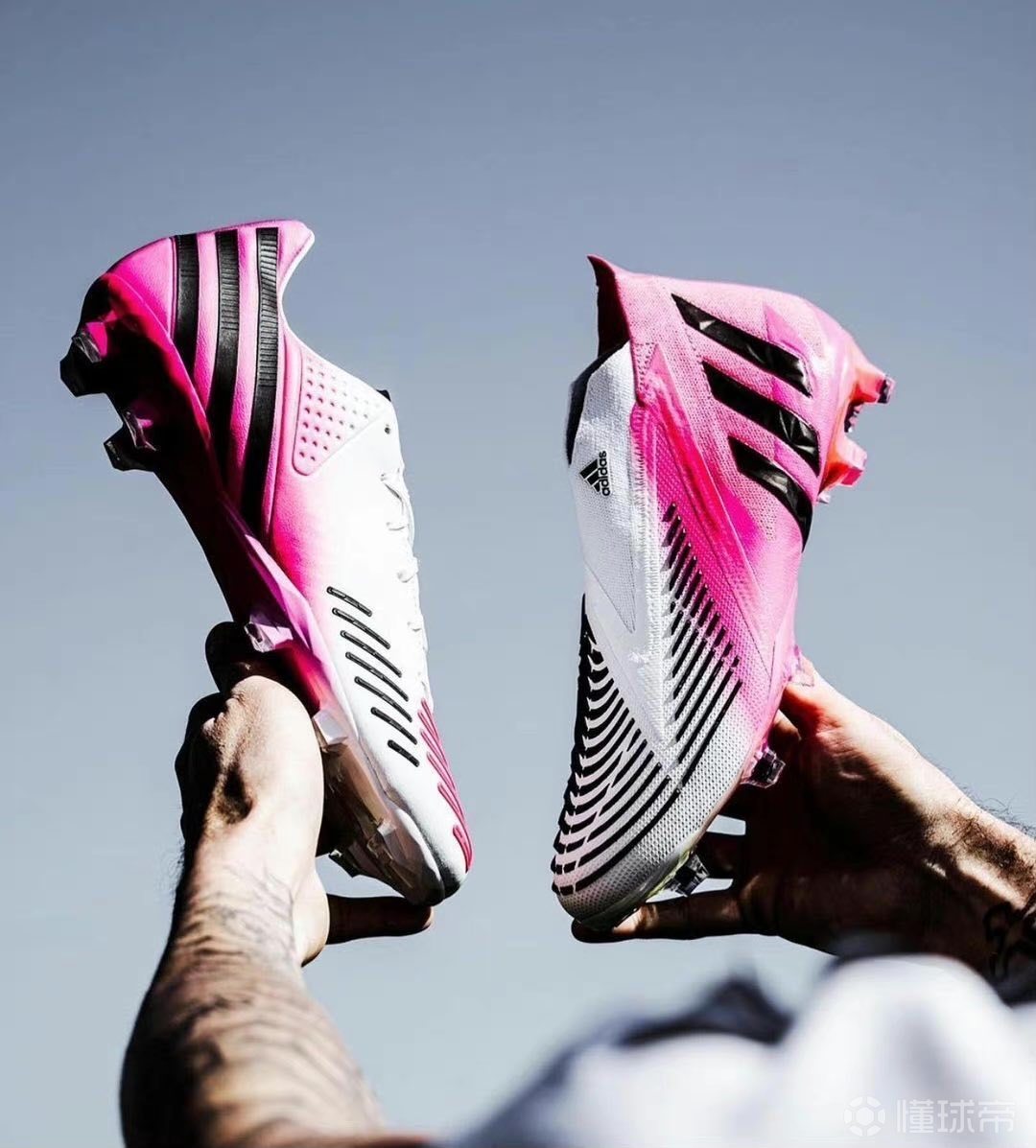 怎么选呢predatorlzifg还是